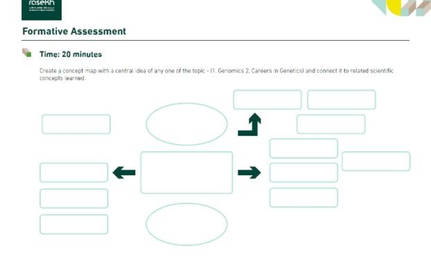Formative Assessment: 20 Minutes