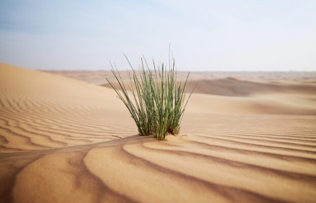 أثر تغيُّر المناخ العالمي على قطر