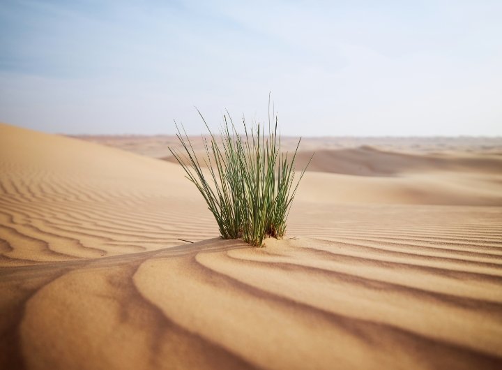 أثر تغيُّر المناخ العالمي على قطر