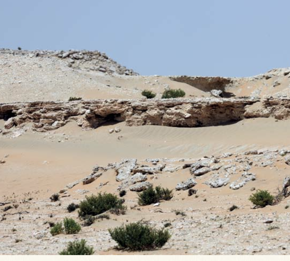 Sedimentary Rocks and Soils of Qatar